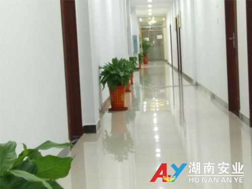 綠色長廊